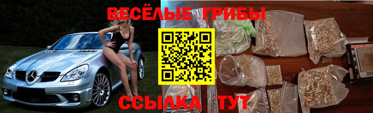 Галлюциногенные грибы Psilocybine cubensis Лабинск